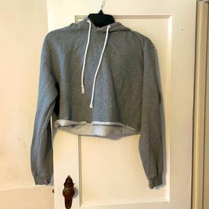 Cropped Gray Sweatshirt Brand- Wild Fable Size 5